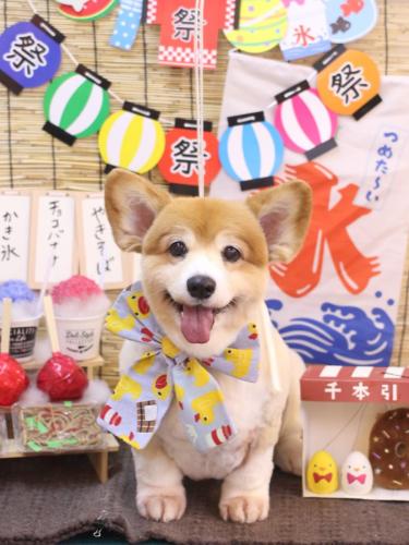 20240718ナナちゃん